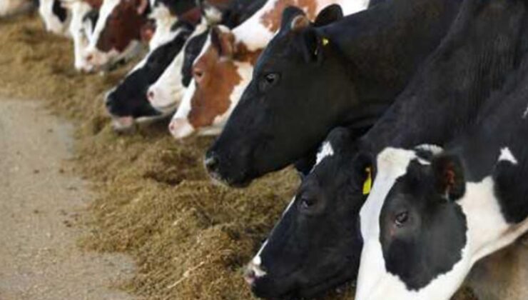 MALİYET ARTIŞLARI ÜRETİCİYİ VURDU