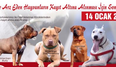 TEHLİKELİ KÖPEK IRKLARI İÇİN SON KAYIT TARİHİ 14 OCAK