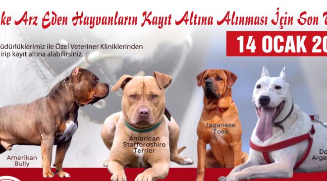 TEHLİKELİ KÖPEK IRKLARI İÇİN SON KAYIT TARİHİ 14 OCAK