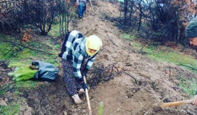 TÜRLÜBEY’DE YANAN ALANLARDA 15 BİN FİDAN DİKİLDİ