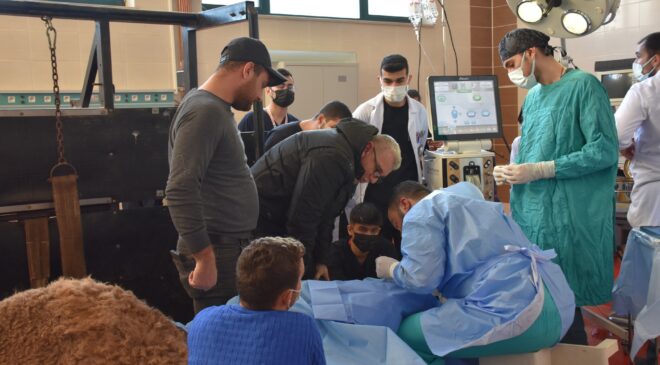 KATARAK OLAN DEVE AMELİYATLA SAĞLIĞINA KAVUŞTU