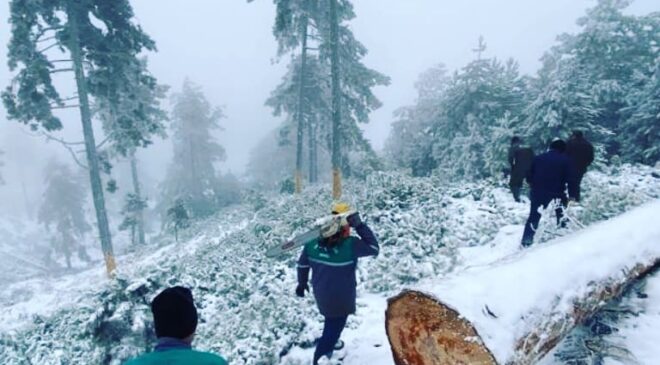 ORMANDA BAKIM VE ÜRETİMLER KAR KIŞ DEVAM EDİYOR