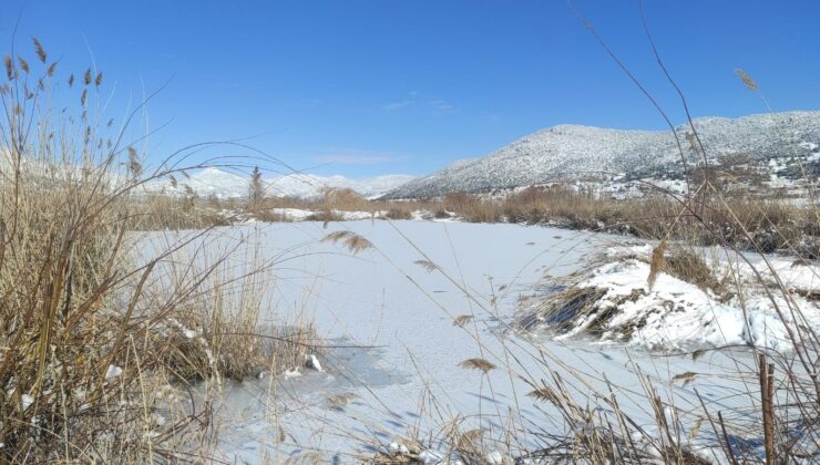 DONAN GÖLDE YİYECEKSİZ KALAN YABAN HAYATININ YARDIMINA KOŞTULAR