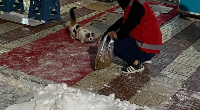 KALE’NİN GENÇ ALPERENLERİ SOKAK HAYVANLARINI UNUTMADI