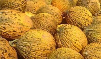 COĞRAFİ İŞARET İÇİN İLK ADIM ATILDI