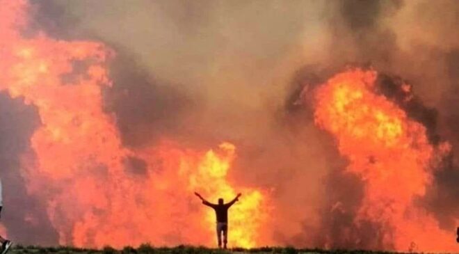 HAYIRSEVER GURBETÇİLER, KÜLE DÖNEN ORMANLARINI UNUTMADI