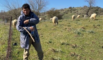 ÇOBANLIK DEYİP GEÇME