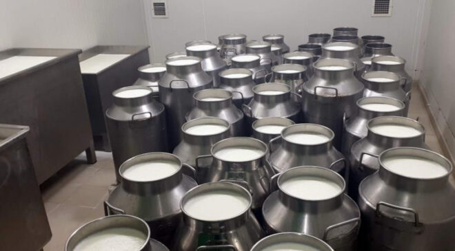 ÇİĞ SÜT TAVSİYE FİYATI LİTRE BAŞINA 5,70 LİRA OLDU