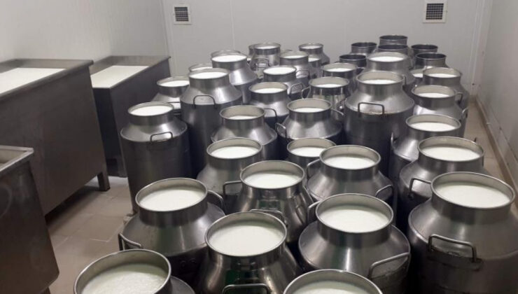 ÇİĞ SÜT TAVSİYE FİYATI LİTRE BAŞINA 5,70 LİRA OLDU