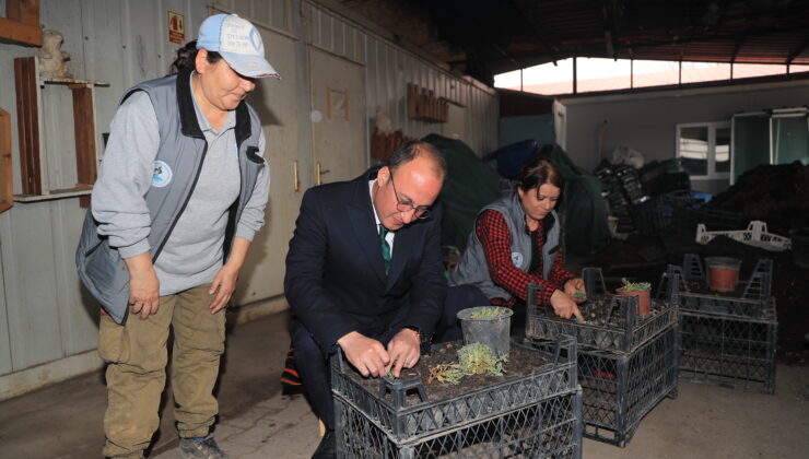 PAMUKKALE BELEDİYESİ’NDEN HEM ÜRETİM, HEM TASARRUF