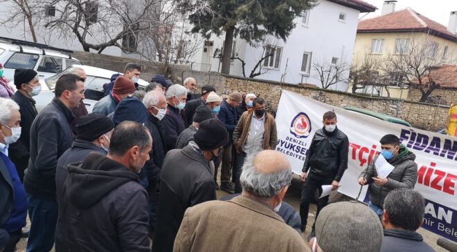 ŞİMDİYE KADAR 380 BİN CEVİZ FİDANI DAĞITILDI