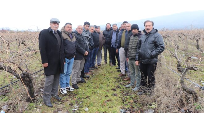 SATTIKLARI ÜZÜMÜN PARASINI 7 AYDIR ALAMADILAR