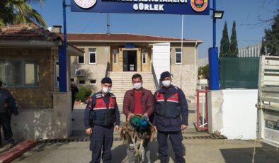 HIRSIZLIK ŞEBEKESİNDEN 2 KİŞİ TUTUKLANDI