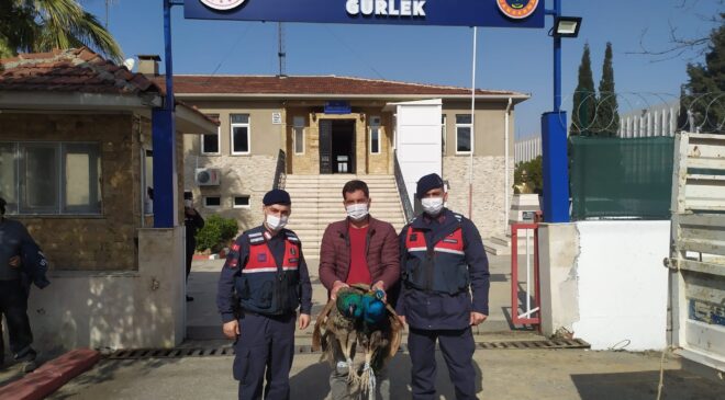 HIRSIZLIK ŞEBEKESİNDEN 2 KİŞİ TUTUKLANDI