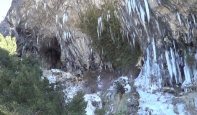 MART SOĞUĞU ŞELALEYİ DONDURDU