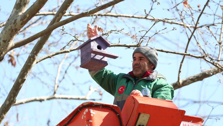 İŞ ADAMI AHŞAPTAN YAPTIĞI 160 KUŞ YUVASINI BELEDİYEYE BAĞIŞLADI