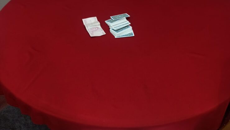 EV, İŞ YERİ VE APART DENETİMLERİNDE 337 FARKLI ADRES KONTROL EDİLDİ