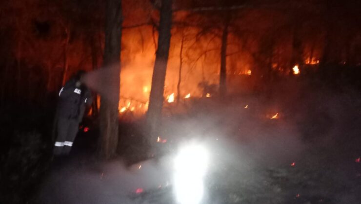 2022 YILININ İLK ORMAN YANGINDA 1 HEKTAR ALAN ZARAR GÖRDÜ