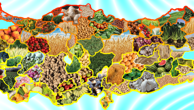 ÇOCUKLARDA BESİN ALERJİLERİ ARAŞTIRMASI