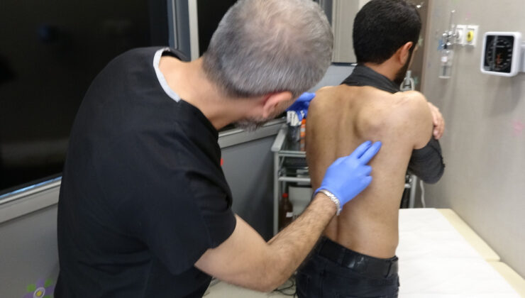 UYUZ VE MANTAR HASTALIKLARINDA ARTIŞ