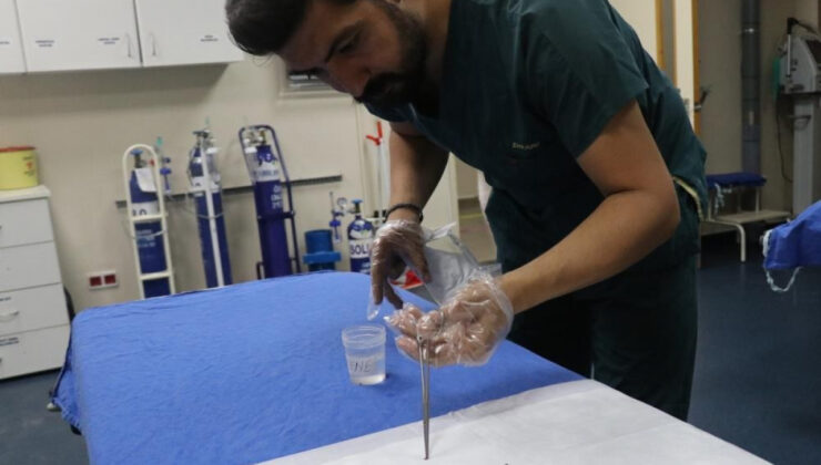 YAZ AYLARININ KORKULU RÜYASI KENE TUTULMALARINA KARŞI ÖNEMLİ UYARI