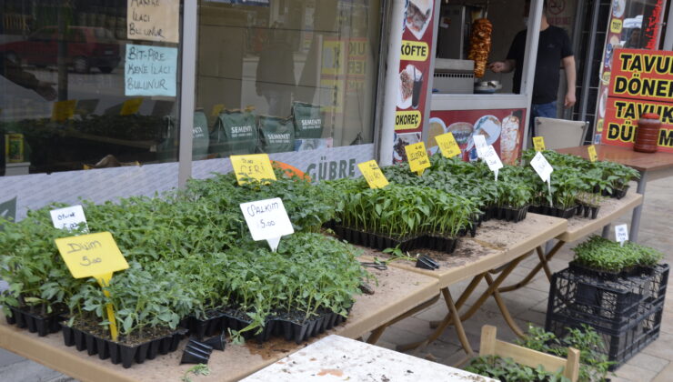 ZİRAİ İLAÇ FİYATLARINDA BÜYÜK ARTIŞ