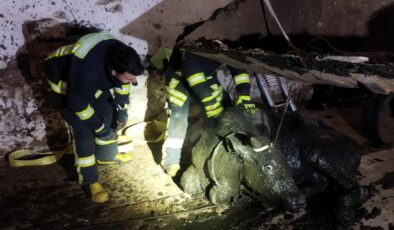 İTFAİYE EKİPLERİ İMDADINA YETİŞTİ