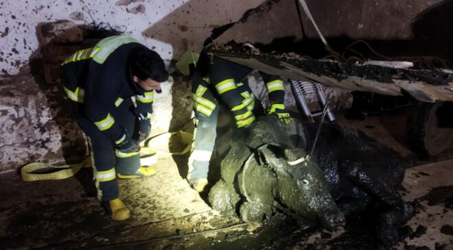 İTFAİYE EKİPLERİ İMDADINA YETİŞTİ