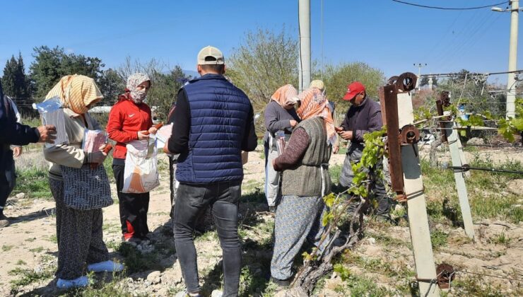 SALKIM GÜVESİNE KARŞI BİYOTEKNİK MÜCADELE