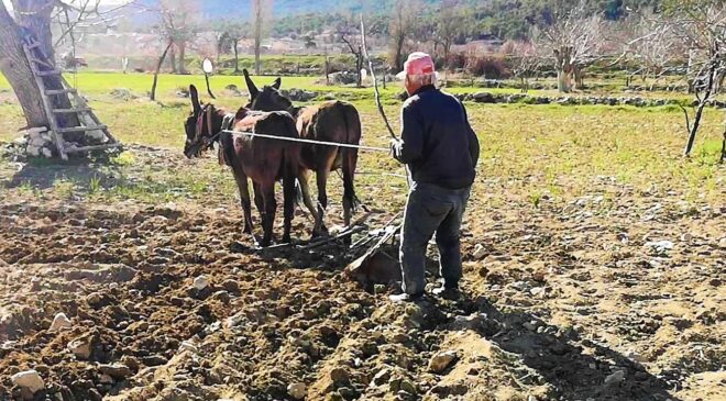 ATADAN KALMA İLK GENELLİĞİNİ SÜRDÜRÜYOR