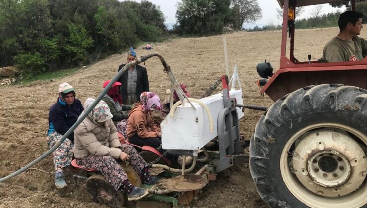 DENİZLİ’DE YILIN İLK ADAÇAYI FİDELERİ TOPRAKLA BULUŞTU