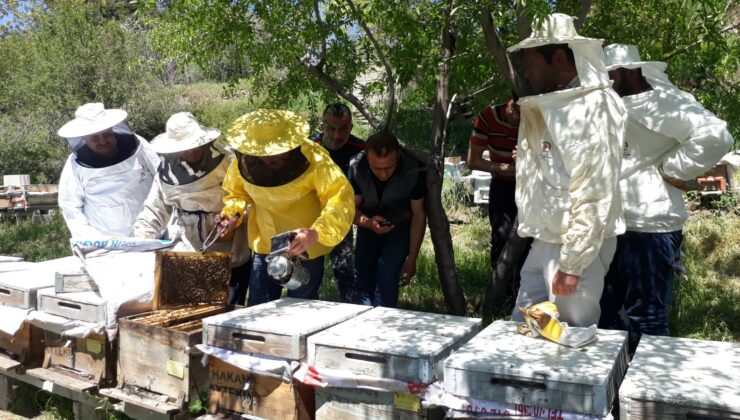 ARICILIK KURSİYERLERİ İLK EĞİTİMLERİNİ ALDI