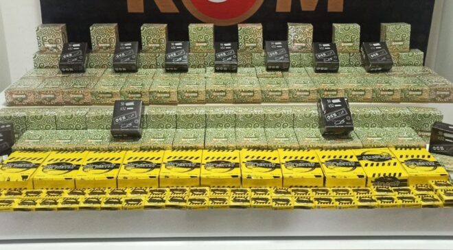 KAÇAKÇILARDAN ÇOK SAYIDA CINSEL IÇERIKLI ÜRÜN ELE GEÇIRILDI