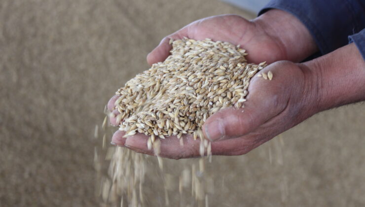 ÇAL’DA ÜRETİCİYE NAKLİYE DESTEĞİ