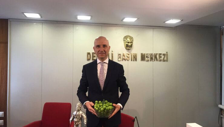 SARAYKÖY 6 GÜNLÜK FESTİVALLE COŞACAK