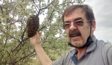 BAL ÜRETİCİLERİ BU YIL UMUTLU