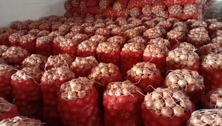 NİSAN AYINDA EN ÇOK KURU SOĞAN PAHALANDI