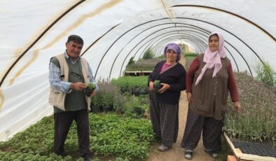 HAVALAR ISINDI, FIDEYE TALEP ARTTI