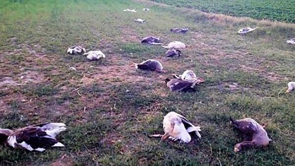 CHP’LI BAŞKANIN 40 KAZI ÖLDÜRDÜĞÜ IDDIASIYLA AÇILAN DAVA ERTELENDI