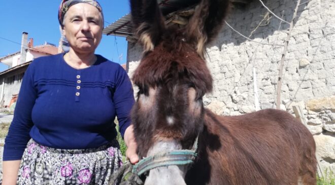 15 YILDIR GÖZÜ GİBİ BAKTIĞI EŞŞEĞİNE AYLAR SONRA KAVUŞTU