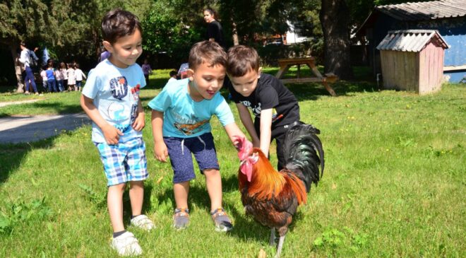 MİNİK ÖĞRENCİLER, DENİZLİ HOROZU İLE EĞLENCELİ ANLAR YAŞADI