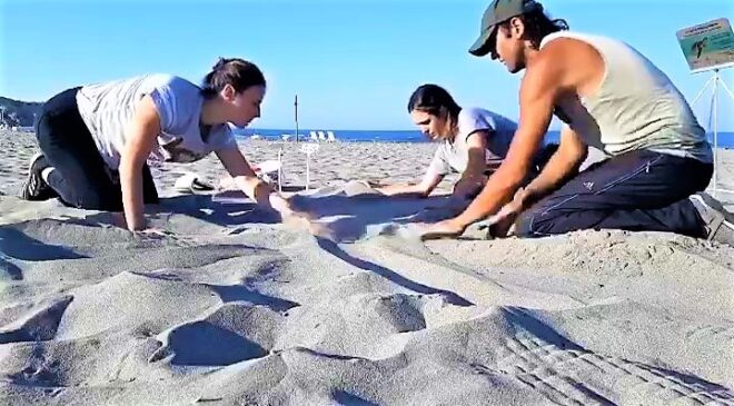 KAPLUMBAĞALAR RAHAT ÜRESİN DİYE DÜNYACA ÜNLÜ KUMSALLARA KISITLAMA GETİRİLDİ