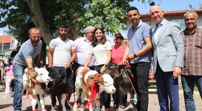 JÜRİ EN GÜZEL BUZAĞINI BELİRLERKEN ZORLANDI