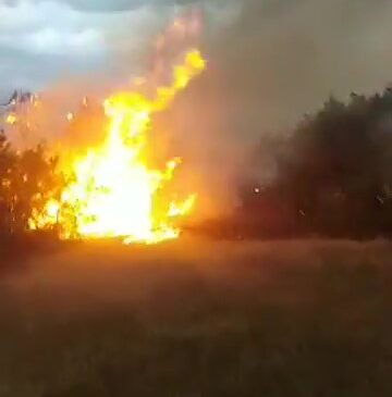 ÇIKAN YANGINDA 10 DÖNÜM ALAN ZARAR GÖRDÜ