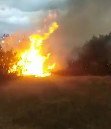 ÇIKAN YANGINDA 10 DÖNÜM ALAN ZARAR GÖRDÜ