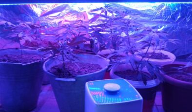 AYDINLATMA DÜZENEĞİ KURDUĞU BANYODA KENEVİR YETİŞTİRDİ