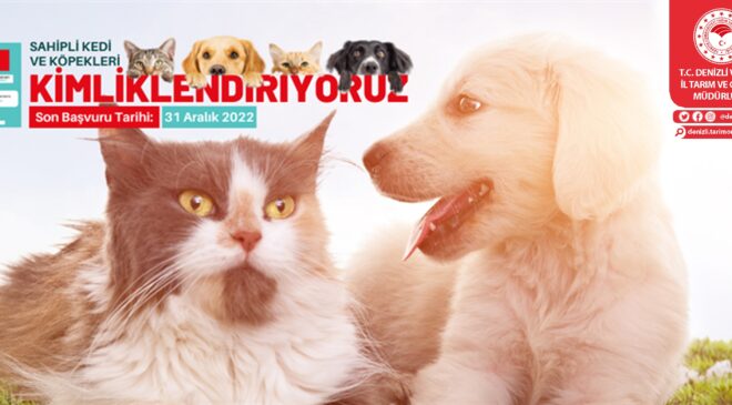 SAHİPLİ KEDİ VE KÖPEKLERİN YILSONUNA KADAR KİMLİKLENMESİ GEREKİYOR