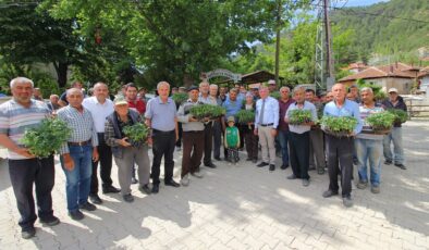 SEL MAĞDURLARINA FİDE DESTEĞİ