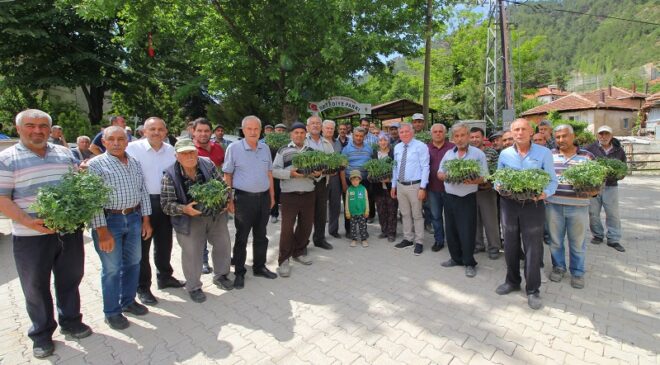 SEL MAĞDURLARINA FİDE DESTEĞİ