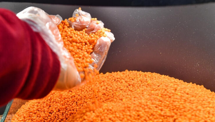 KIRMIZI MERCİMEK ALIM FİYATI BELLİ OLDU